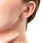 Load image into Gallery viewer, Sterling Silver Solitaire Fishhook Earrings Set With A Single Cubic Zirconia Stone- JOOLS by Jenny Brown
