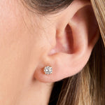 Load image into Gallery viewer, Solitaire Stud 1 Carat Lab Grown Diamond Earrings Set in 9ct Yellow Gold
