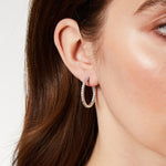 Load image into Gallery viewer, Sterling Silver Medium Hoop Earrings Set With Cubic Zirconia&#39;s.
